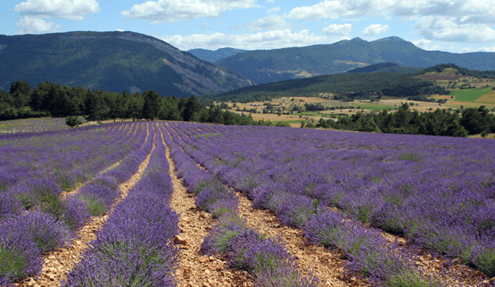Vakantiehuis thema Vakantiehuis in de bergen